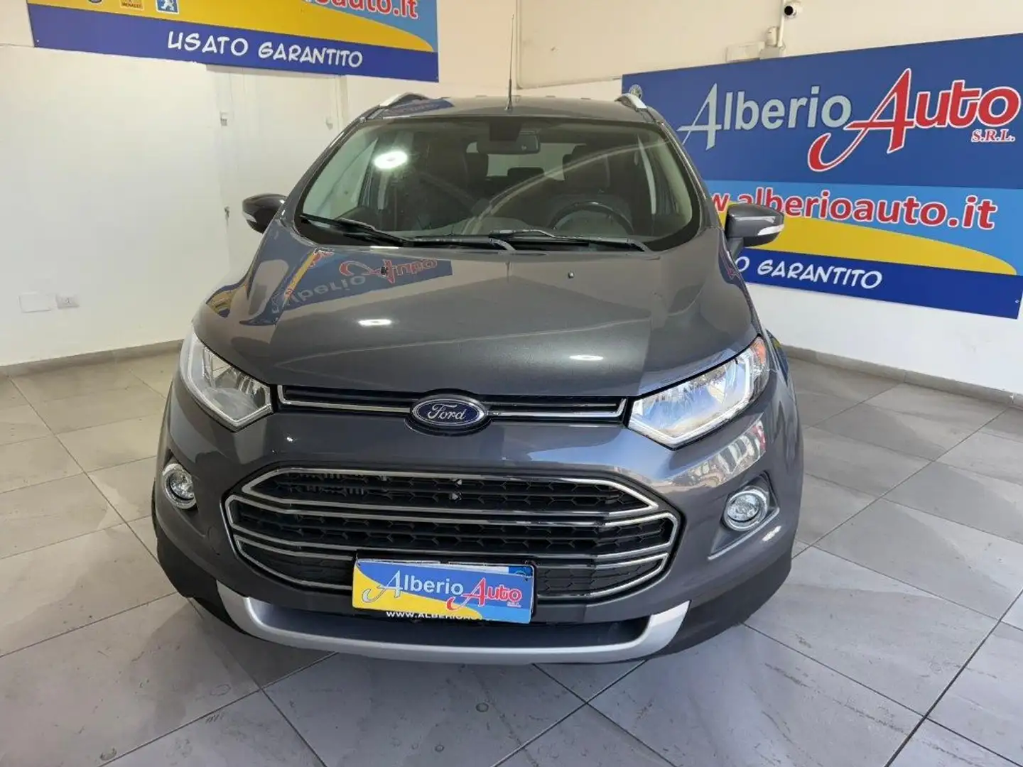 Ford EcoSport 1.5 TDCi 95 CV Business Grigio - 2
