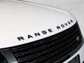 Land Rover Range Rover P550e Autobiography  Shadow Line Bianco - thumbnail 14