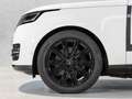 Land Rover Range Rover P550e Autobiography  Shadow Line Bianco - thumbnail 15