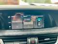 Alfa Romeo Stelvio Stelvio 2020 2.2 t Business Q4 190cv auto Blau - thumbnail 22