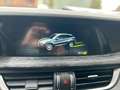 Alfa Romeo Stelvio Stelvio 2020 2.2 t Business Q4 190cv auto Blau - thumbnail 15