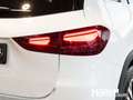 Mercedes-Benz GLA 220 4M+PROGRESSIVE+LED+R-KAMERA+WINTER-P+DAB Weiß - thumbnail 14