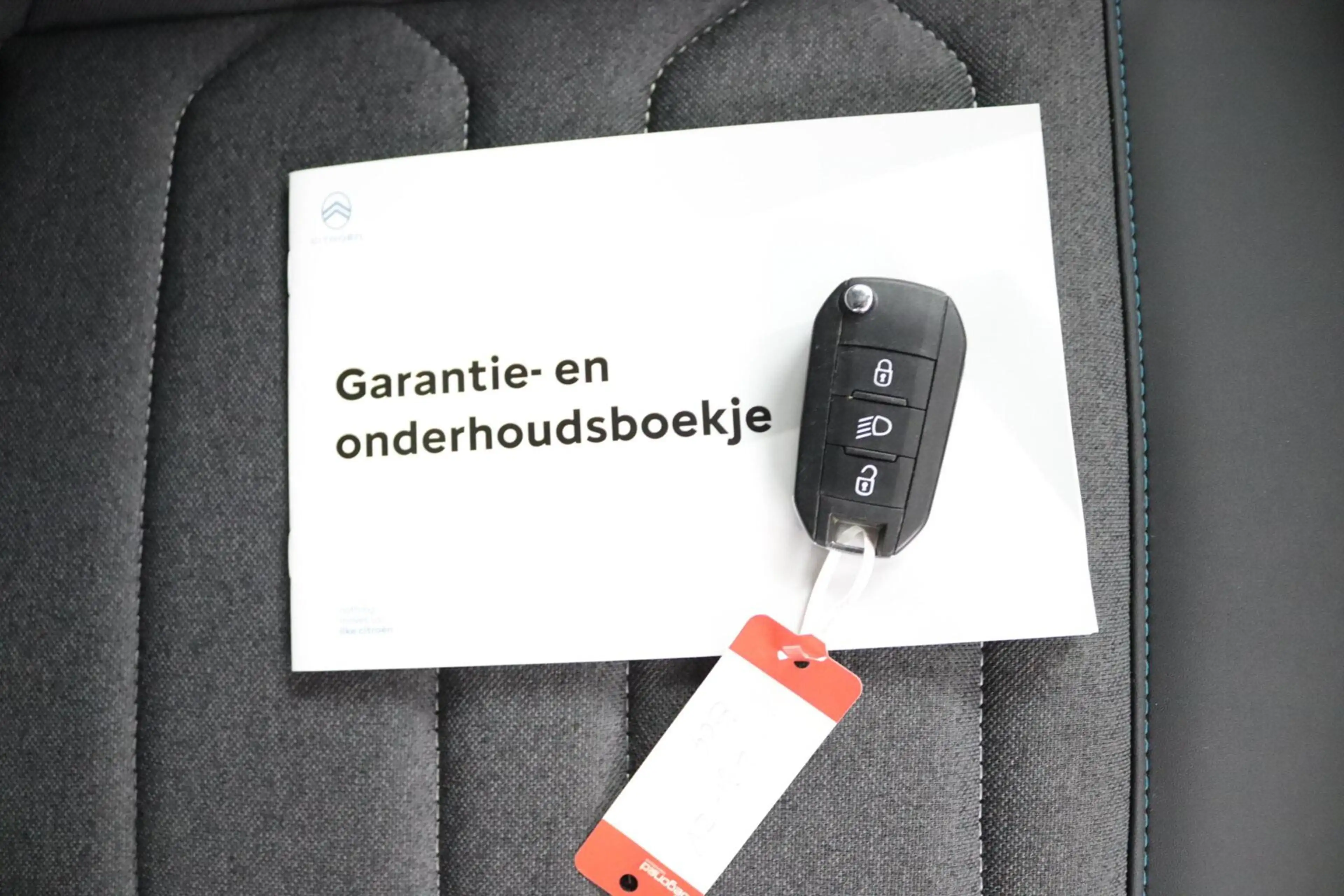Citroen E-C4 Electric You 50 kWh — photo 37