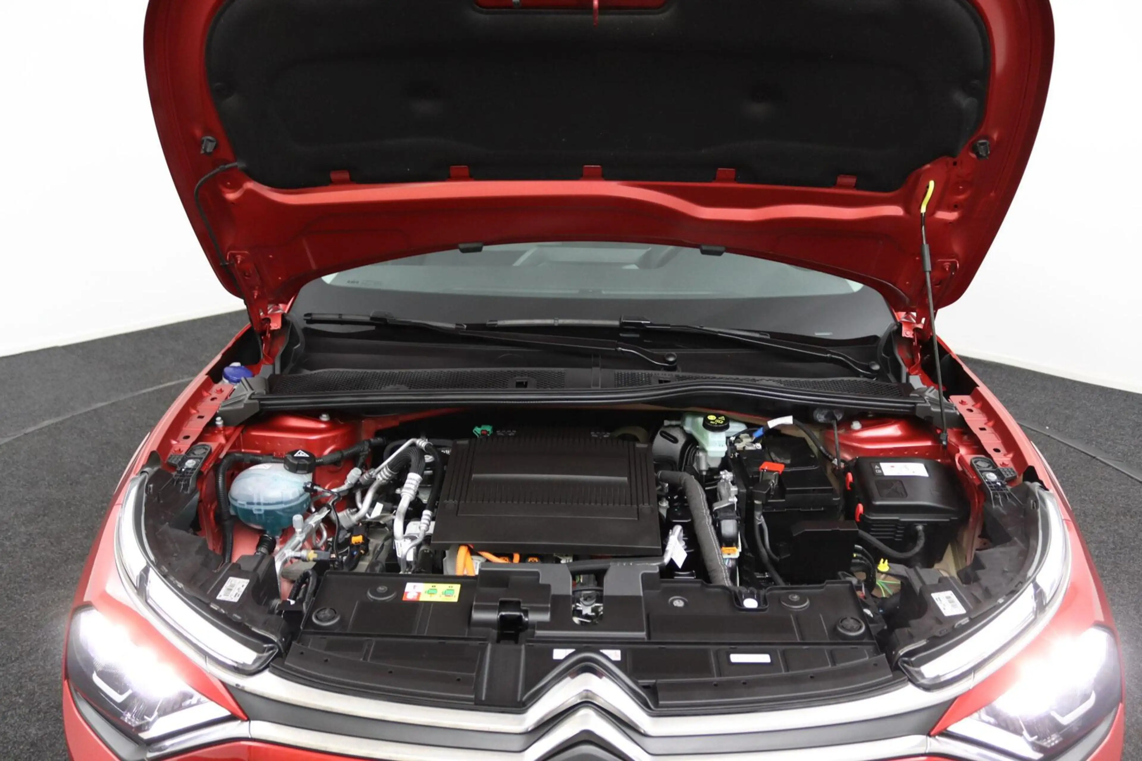 Citroen E-C4 Electric You 50 kWh — photo 36
