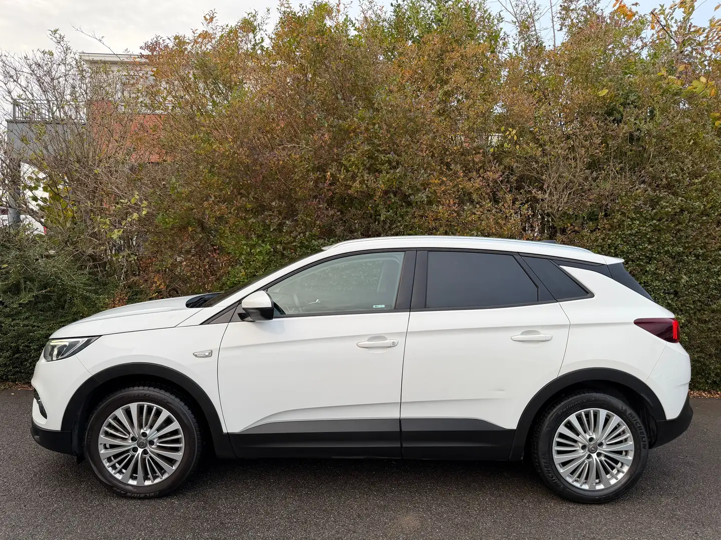 Opel Grandland X 1.2 Turbo ECOTEC Comfort Wit - 2