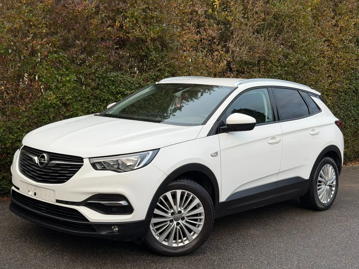 Opel Grandland X 1.2 Turbo ECOTEC Comfort Wit - 1