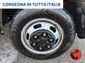Iveco Daily 35C14 3.0 NP COMPATTATORE RIFIUTI-GEMELLATO-CRUISE Blanc - thumbnail 22