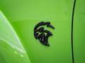 Dodge Charger SRT Hellcat Jailbreak WB 6.2 HEMI V8 Supercharged Verde - thumbnail 15