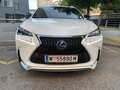 Lexus NX 300h F-Sport Hybrid Aut. //Garantie aufrecht// Weiß - thumbnail 5