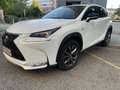 Lexus NX 300h F-Sport Hybrid Aut. //Garantie aufrecht// Weiß - thumbnail 4