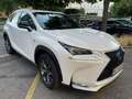 Lexus NX 300h F-Sport Hybrid Aut. //Garantie aufrecht// Weiß - thumbnail 1