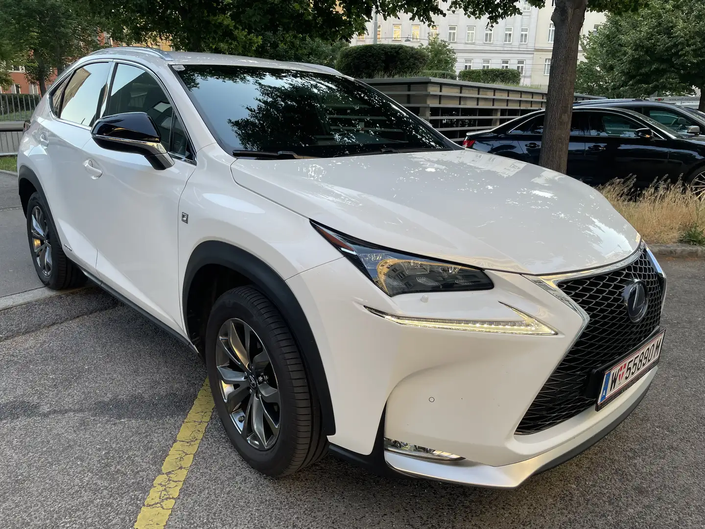 Lexus NX 300h F-Sport Hybrid Aut. //Garantie aufrecht// Weiß - 1