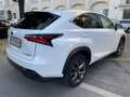 Lexus NX 300h F-Sport Hybrid Aut. //Garantie aufrecht// Weiß - thumbnail 2