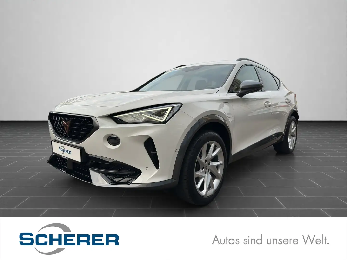 CUPRA Formentor 1.4 TSIe LED EINPARKHILFE KEYLESS SHZ Weiß - 1