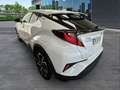 Toyota C-HR 125H Advance Blanco - thumbnail 6