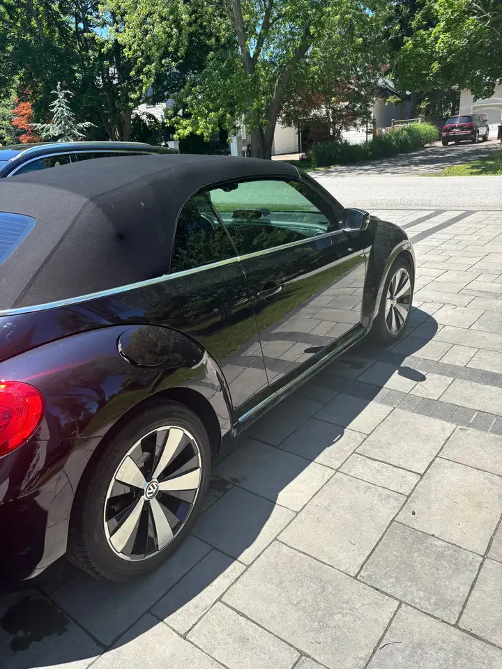 Volkswagen Beetle fotografie Volkswagen Beetle