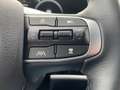 Kia Sportage SPIRIT 4WD 1.6MHEV 180PS AT DRIVE SOUND Grün - thumbnail 19