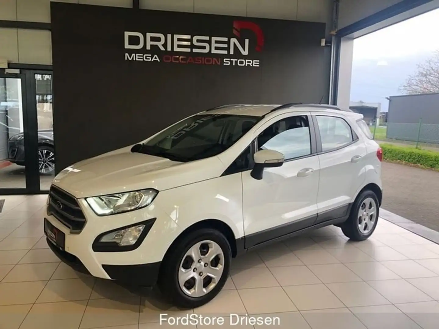 Ford EcoSport Business Class 1.0i 100 pk BIJ DRIESEN IN BREE Blanco - 2
