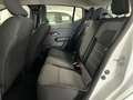 Dacia Sandero Streetway ECO-G Expression NUOVA DA IMMATRICOLAR Bianco - thumbnail 8