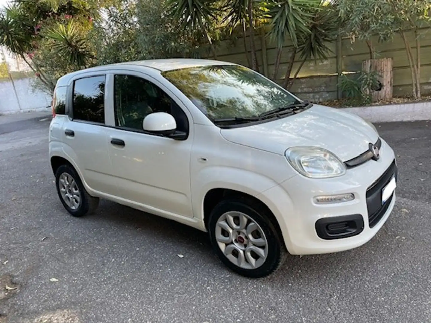 Fiat Panda Metano-Prezzo iva inclusa piu passaggio Bianco - 2