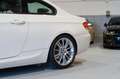 BMW 320 320i Blanco - thumbnail 10