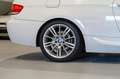 BMW 320 320i Blanco - thumbnail 31