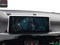 BMW X2 X2 xDrive20d M SPORT HUD,KEYLESS,ACC,KAMERA,20Z. Schwarz - thumbnail 14