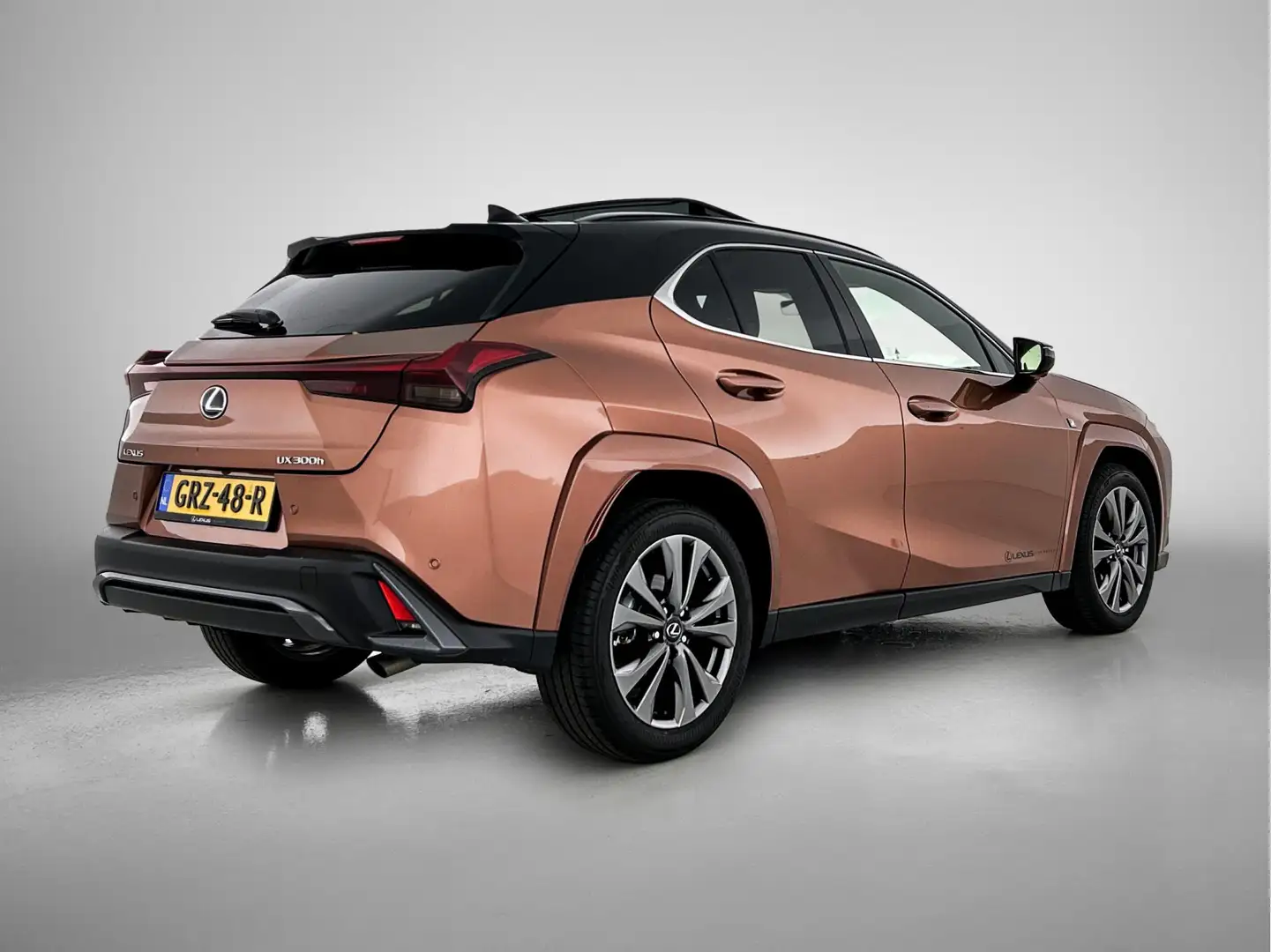 Lexus UX 300h F SPORT Line | Adaptief Dempingsysteem | Premium B Bruin - 2