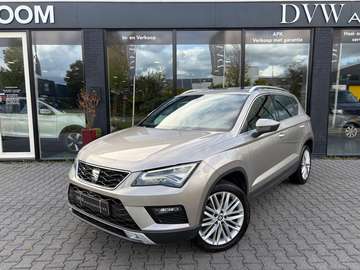 1.4 EcoTSI Xcellence, Panorama dak