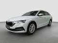 Skoda Octavia Combi 2.0 TDI DSG*NAVI*AHK*LED*KAMERA* Weiß - thumbnail 10