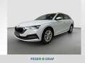 Skoda Octavia Combi 2.0 TDI DSG*NAVI*AHK*LED*KAMERA* Weiß - thumbnail 1