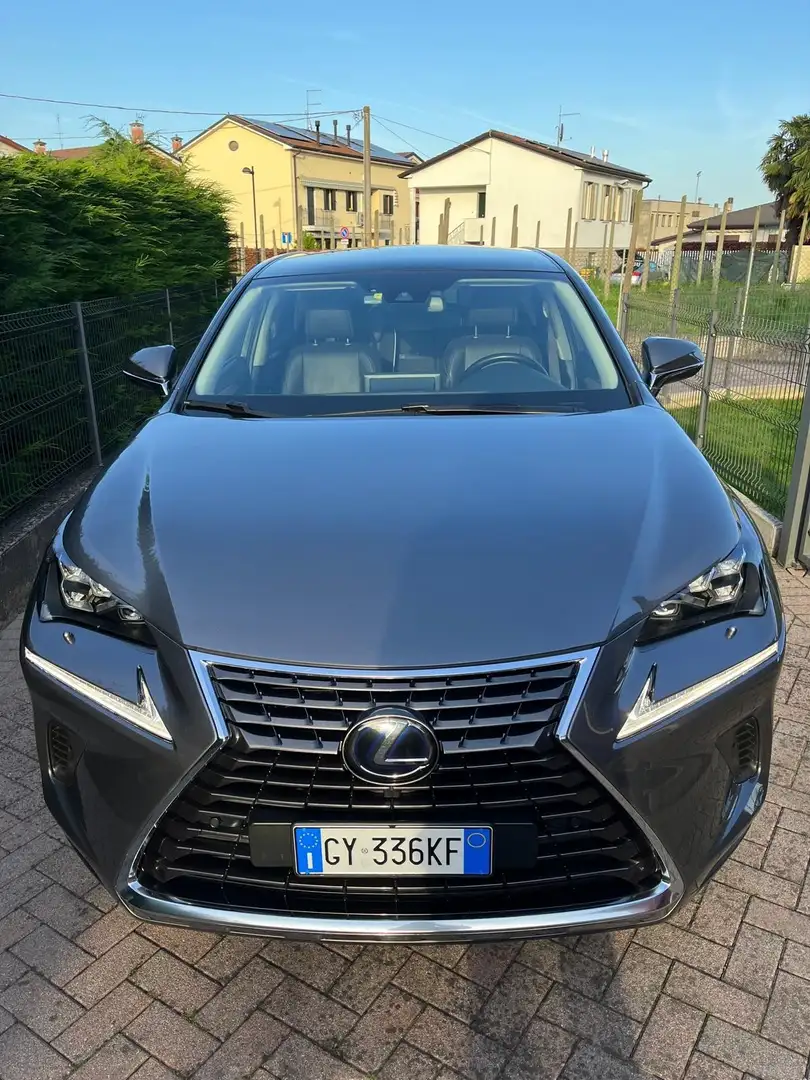 Lexus NX 300h luxury Grigio - 2