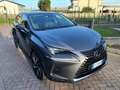 Lexus NX 300h luxury Grigio - thumbnail 1