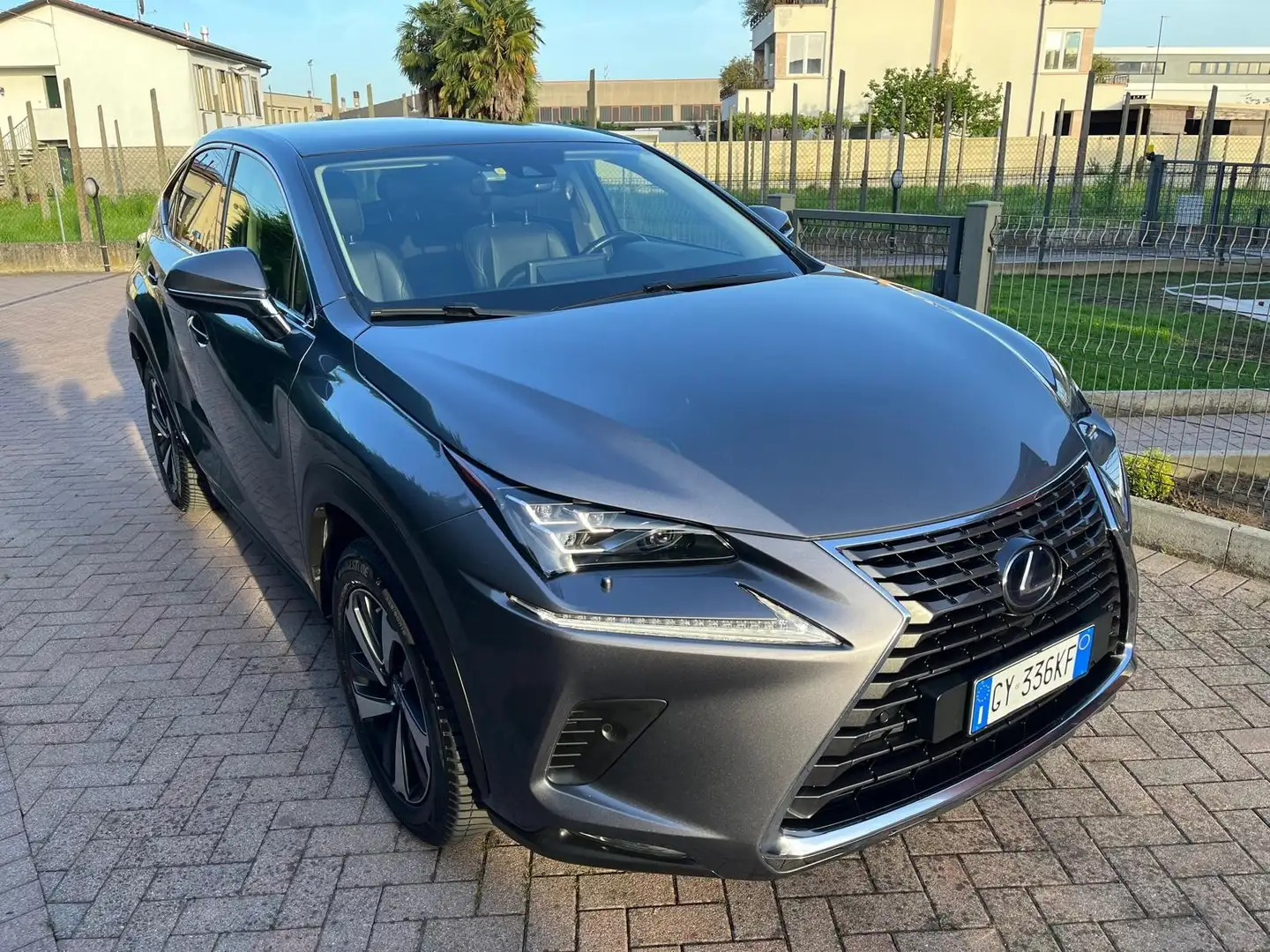 Lexus NX 300h luxury Grigio - 1