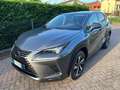 Lexus NX 300h luxury Grigio - thumbnail 4