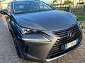 Lexus NX 300h luxury Grigio - thumbnail 12