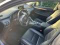 Lexus NX 300h luxury Grigio - thumbnail 9