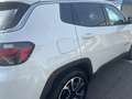 Jeep Compass 1.5 turbo t4 mhev Limited 2wd 130cv dct Bianco - thumbnail 13