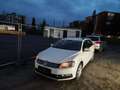 Volkswagen Passat 1.6 TDI 105 CR FAP BlueMotion Technology - thumbnail 5
