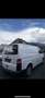 Volkswagen T5 Transporter 1. Besitz*SERVICE NEU*PICKERL NEU* Weiß - thumbnail 4