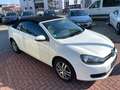 Volkswagen Golf Cabriolet Basisaus 2.Hand+Scheckheft+Winterräder Blanc - thumbnail 14