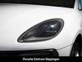 Porsche Macan Surround-View LED PDLS+ Spurwechselassistent Weiß - thumbnail 16