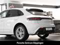 Porsche Macan Surround-View LED PDLS+ Spurwechselassistent Weiß - thumbnail 13