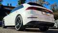 Audi Q8 50 3.0 tdi mhev S Line FuLL Matrix tetto c22 Blanc - thumbnail 9