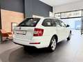 Skoda Octavia Combi 2.0 TDI Ambition aus 1.Hand Weiß - thumbnail 5