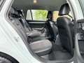 Skoda Octavia Combi 2.0 TDI Ambition aus 1.Hand Weiß - thumbnail 15