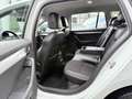 Skoda Octavia Combi 2.0 TDI Ambition aus 1.Hand Weiß - thumbnail 20
