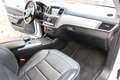 Mercedes-Benz ML 350 ML 350 AMG -Line Ahk Pano Standh Navi Leder Weiß - thumbnail 12