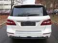 Mercedes-Benz ML 350 ML 350 AMG -Line Ahk Pano Standh Navi Leder Weiß - thumbnail 6