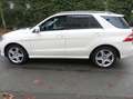 Mercedes-Benz ML 350 ML 350 AMG -Line Ahk Pano Standh Navi Leder Weiß - thumbnail 8